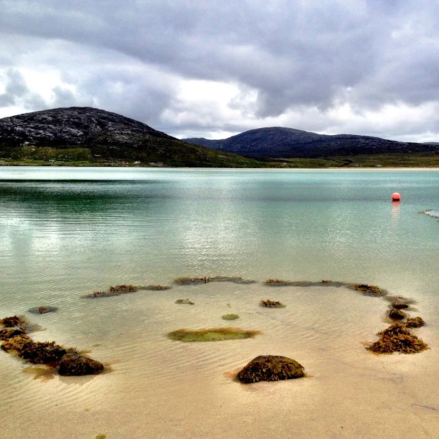 Remote island of Taransay to be returned to its natural condition with Scottish wild cats