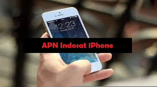APN Indosat iPhone