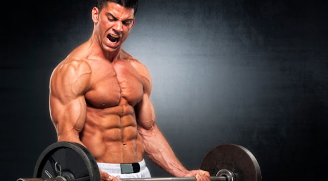 Useful Tips For Muscle Training Workout Routine