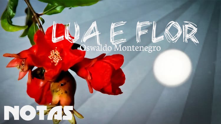 Lua e Flor - Oswaldo Montenegro - Notas melódicas