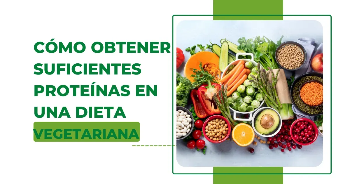 proteinas vegetales,fuentes de proteínas vegetales,dieta rica en proteínas vegetales