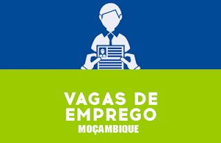 Uma empresa pretende recrutar para o seu quadro de pessoal um (1) Designer Gráfico Júnior para Maputo.