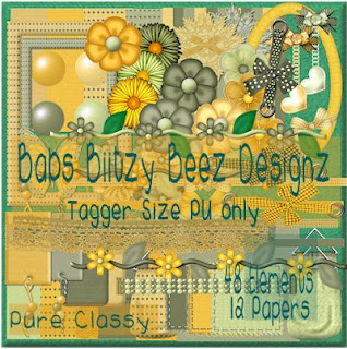 http://babsbitzybeez.blogspot.com/2009/06/tagger-kit-freebie-purely-classly.html