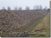 roer 23.11.11