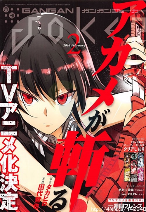 Akame ga KILL_anime