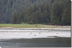 Shearwater to Khutze Inlet  May 31st 2012 037