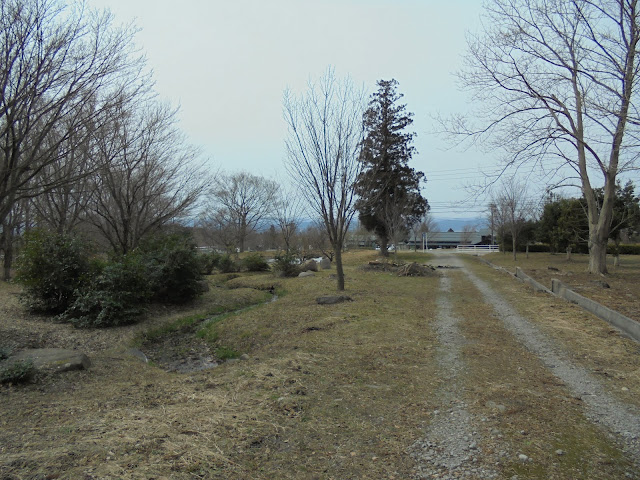 伯耆町 交流の森に帰ってきました