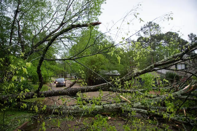 Deadly Storm Strikes Louisiana: Tornadoes, Flooding, and Chaos!