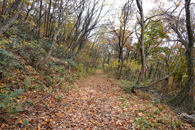 鳥取県西伯郡大山町大山　横手道