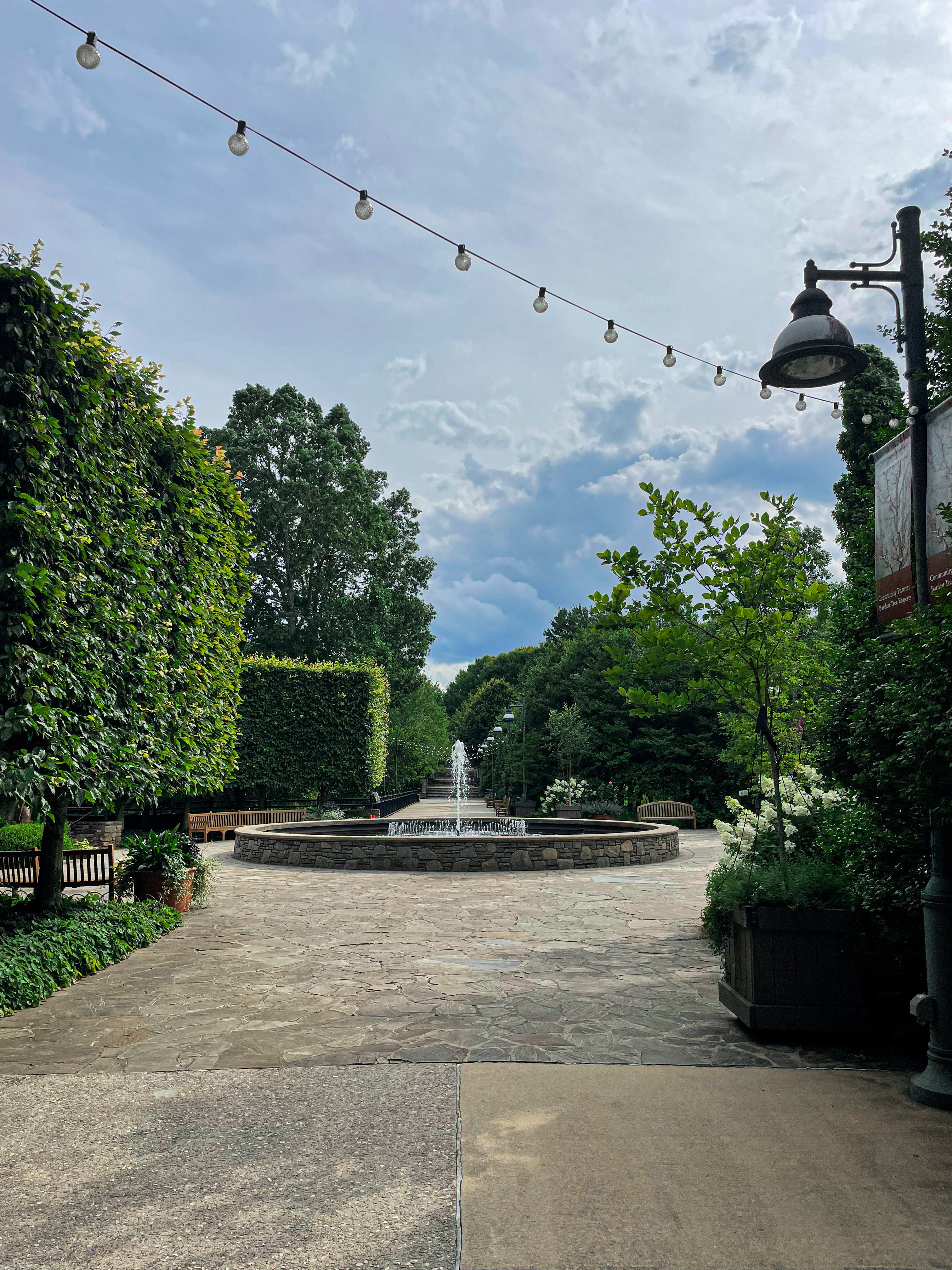 The NC Arboretum