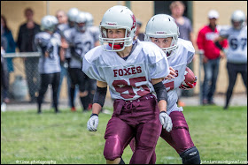 Gridiron Victoria Western Foxes