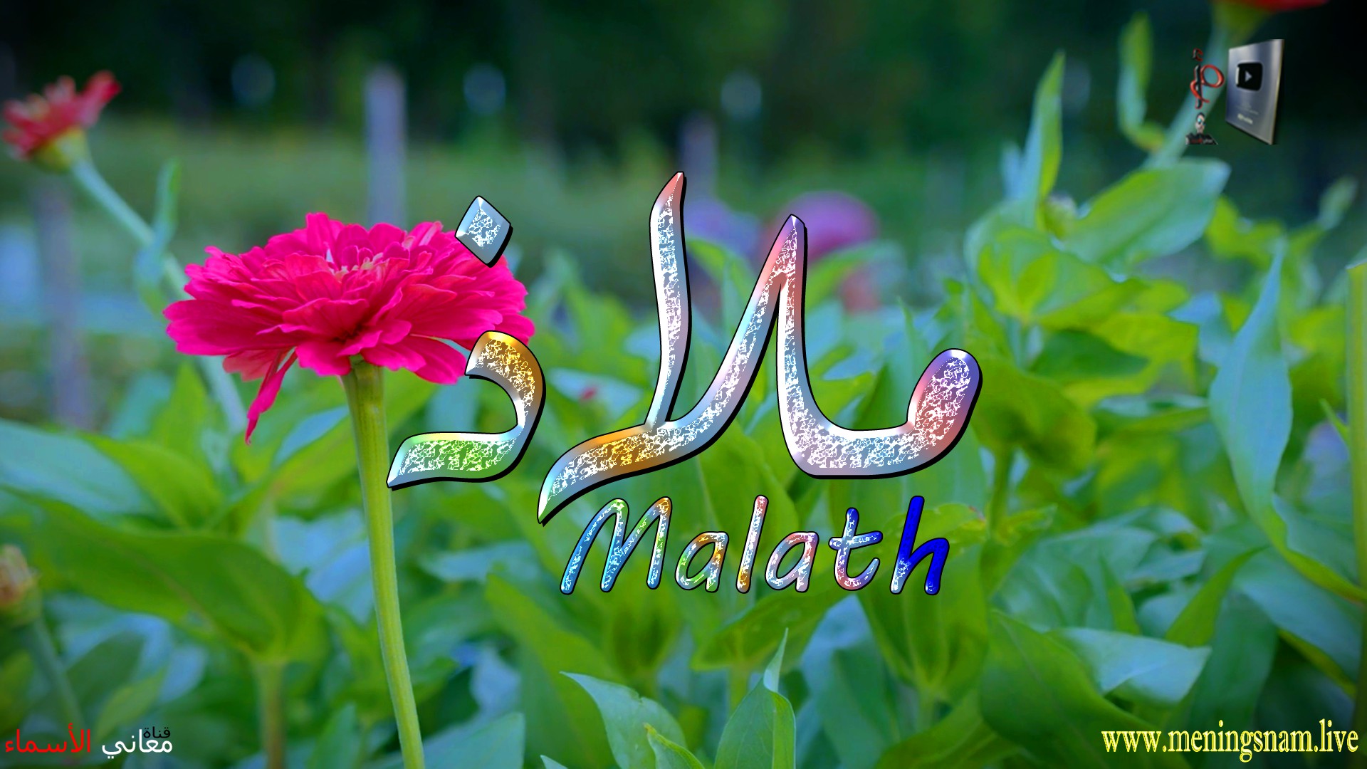 معنى اسم, ملاذ, وصفات, حاملة, وحامل, هذا الاسم, Malath,