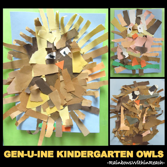 Torn Paper Owl Project in Kindergarten via RainbowsWithinReach