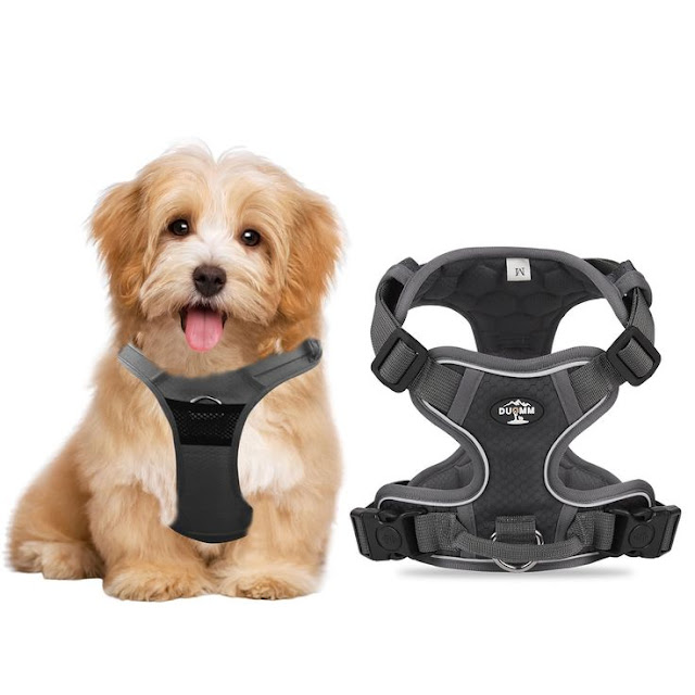 2025 no-pull harness for Shih Tzu puppies – ideal for walking in U.S. neighborhoods