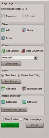 Custom options allow you to define the rows and columns to make sure that everything is set up perfectly before you begin the conversion