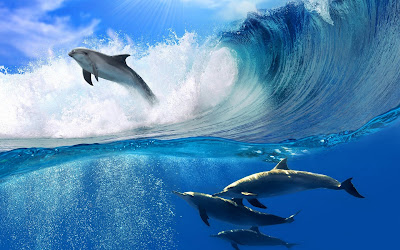 Delfines nadando en el mar