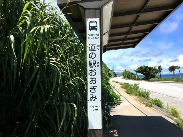 "MICHINOEKI OGIMI" Bus stop