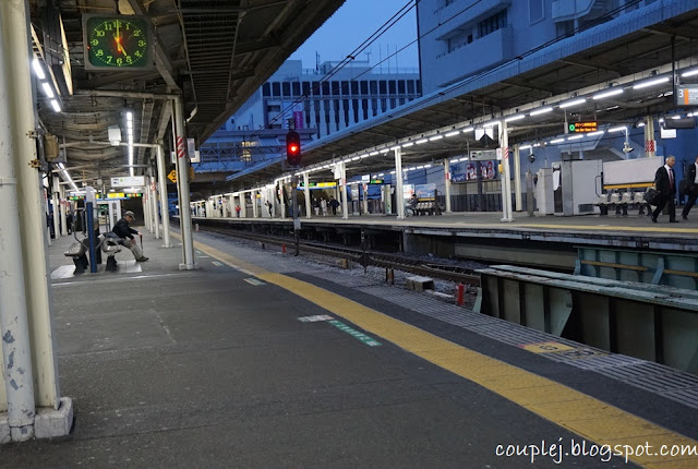 Tsukiji Fish Market - Shinjuku Gyoen National Garden - Takeshita Street - Gyozarou