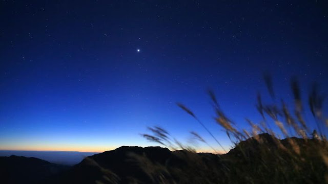 Sirius, ngôi sao sáng nhất bầu trời đêm. Hình ảnh: Tommy Hsu/Getty Images.