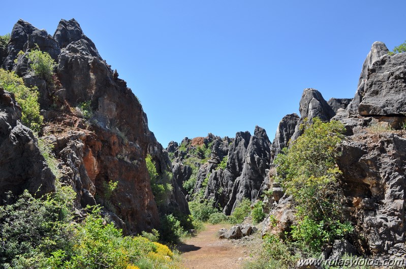 Cerro del Hierro