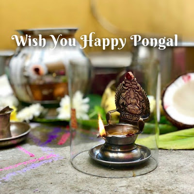 Happy Pongal Images HD 6