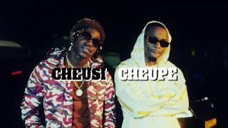 VIDEO | Ommy Dimpoz Ft. Meja Kunta – Cheusi Cheupe Singeli (Mp4 Download)