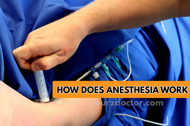 How does Anesthesia Work