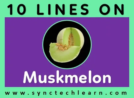 10 lines on muskmelon in english