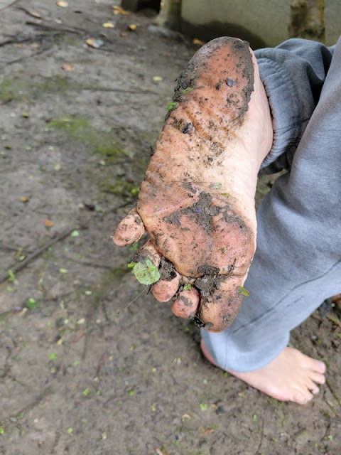 【健康的腳型】沾上泥土的脚最健康最乾淨，泥土很容易洗掉。