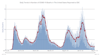 COVID-19 Positive Tests per Day