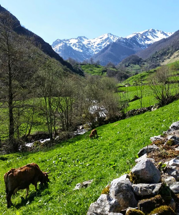 Somiedo : Brañas de La Pornacal y de Los Cuartos