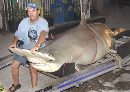 The big shark pulled the boat 12 miles out to sea