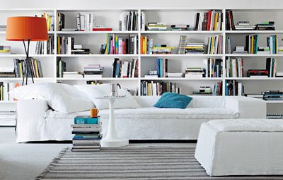 Bookshelves in Living Rooms 