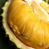 Cara Memilih Durian