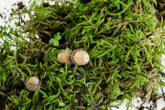 Fall moss wreath