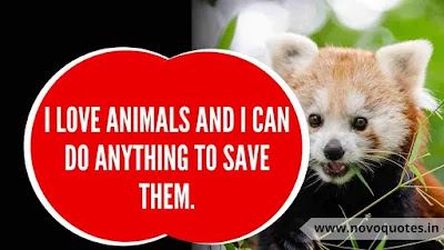 Save Wildlife Quotes 