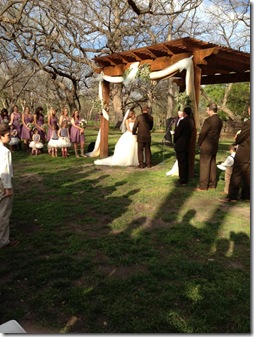 wedding 5
