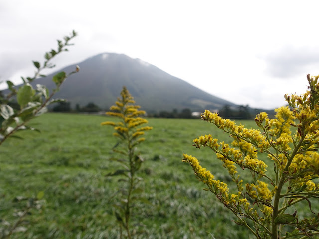 大山牧場