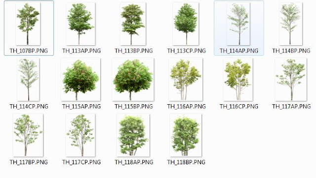 Photoshop Trees Png 03