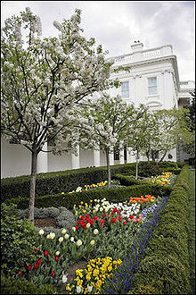 The White House Rose Garden