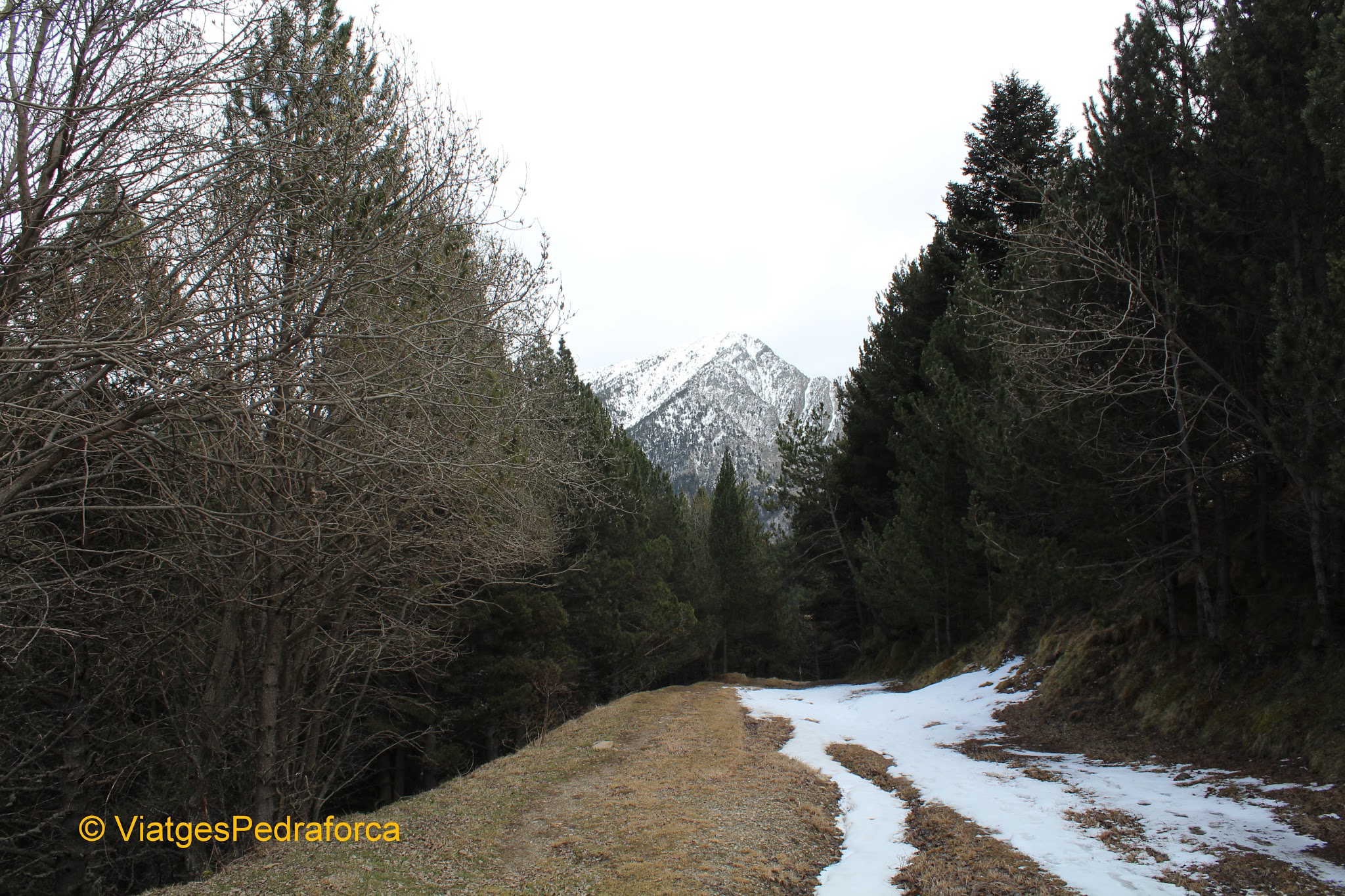 Alt Urgell, Parc natural de l'Alt Pirineu, Pirineu de Lleida, Catalunya, Senderisme