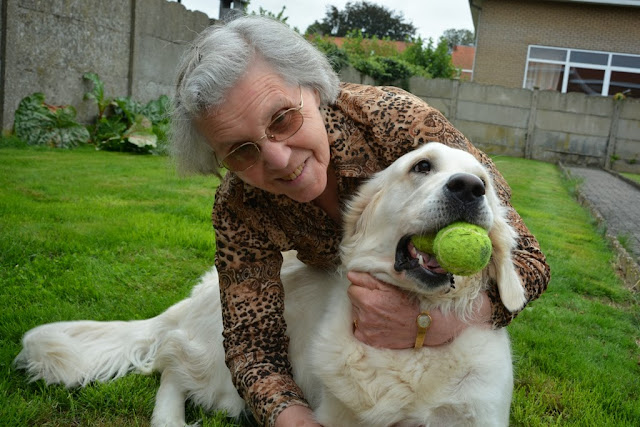 Rosa Golden Retriever Tessa