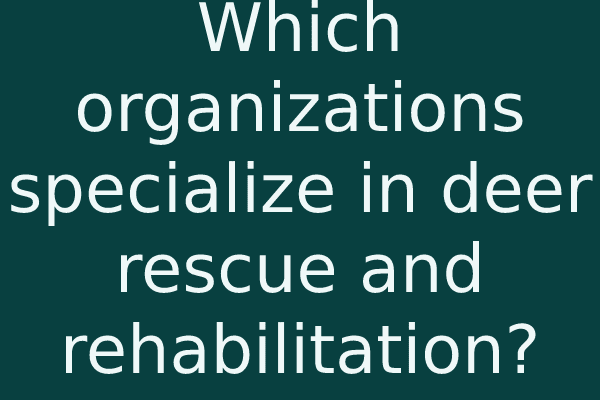 Which organizations specialize in deer rescue and rehabilitation?