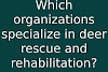 Which organizations specialize in deer rescue and rehabilitation?