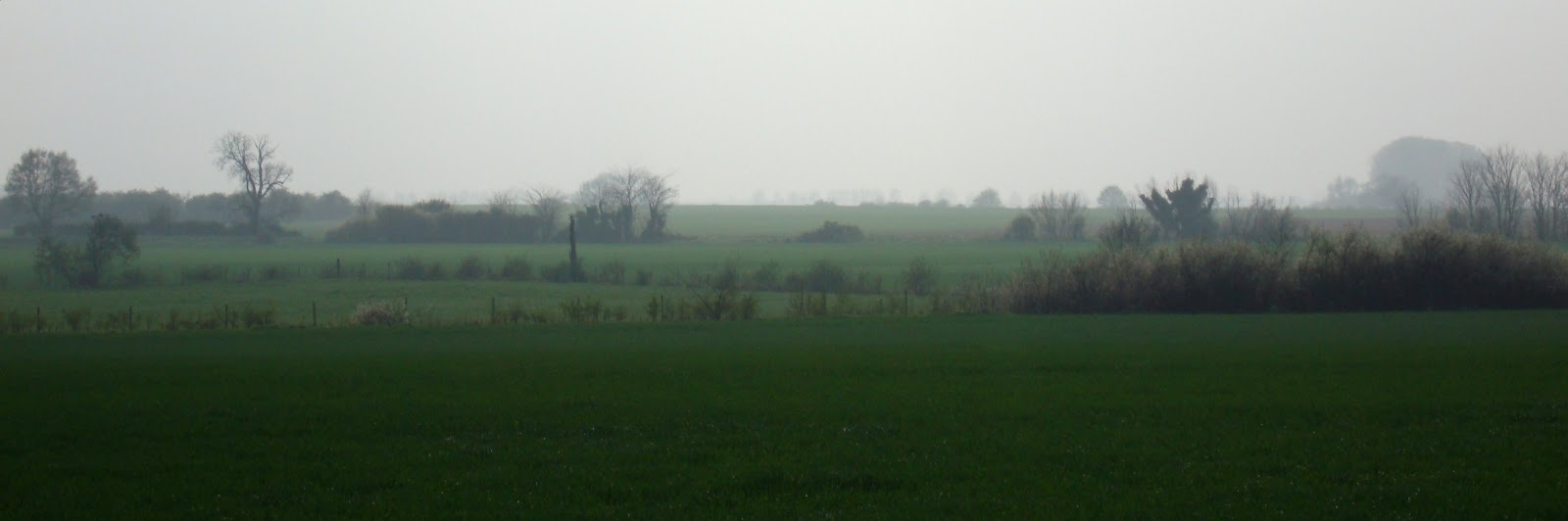 DSC07297.JPG