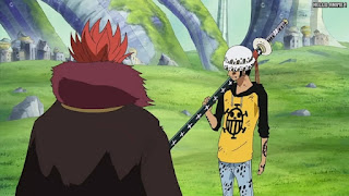 ワンピースアニメ シャボンディ諸島編 404話 トラファルガー・ロー Trafalgar Law | ONE PIECE Episode 404