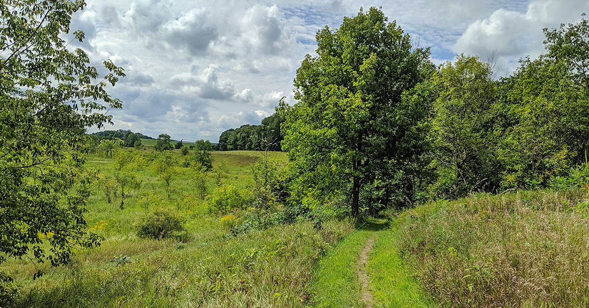 Hiking footpath through prairie and heath