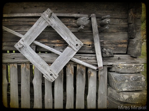 _DSC0366nh
