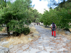 Plataforma Nogal del Barranco