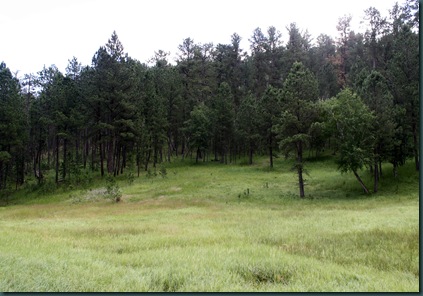 Rushmore and Custer St Park 184